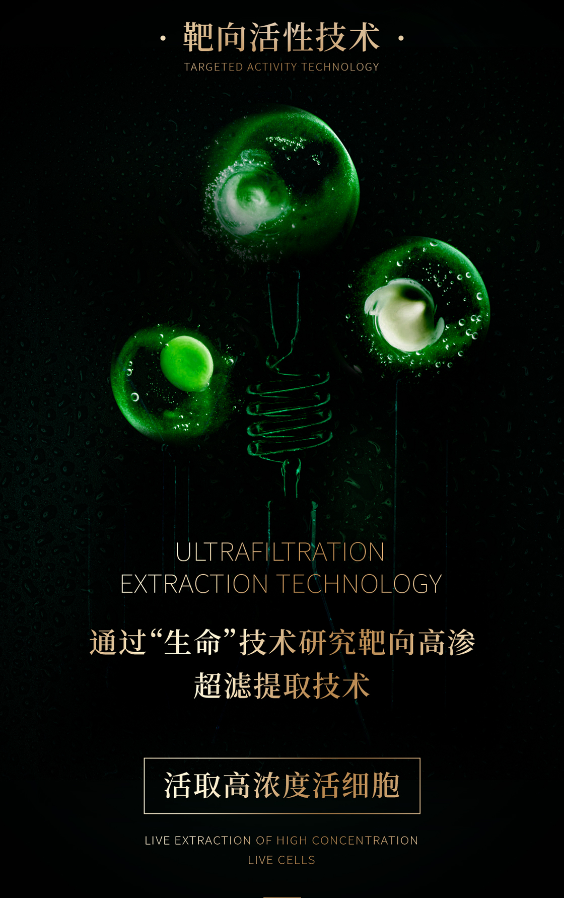 详情2_02.jpg