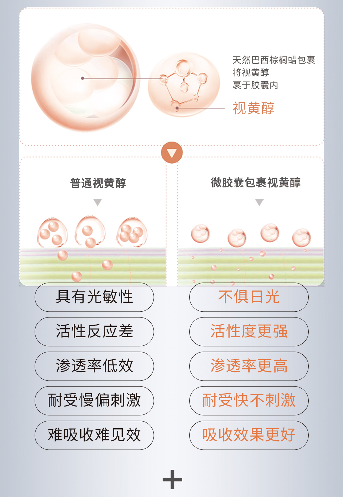 视黄醇详情-最新_06.jpg